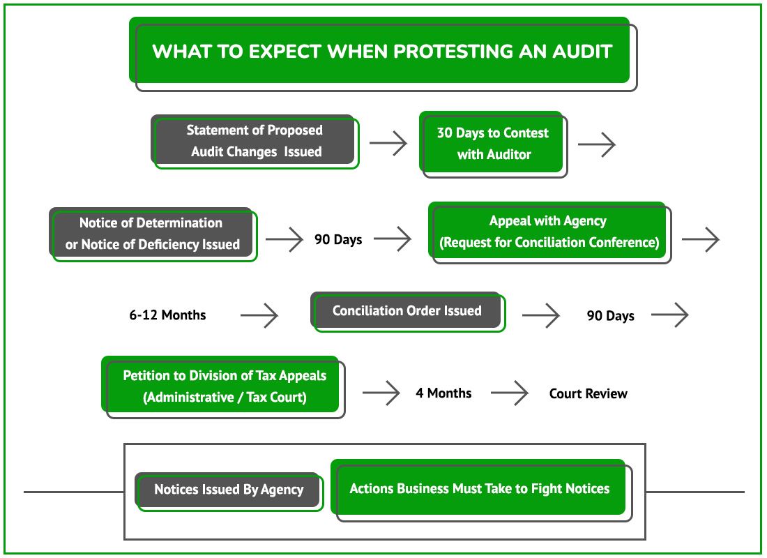 Protest Audit Graphic NY