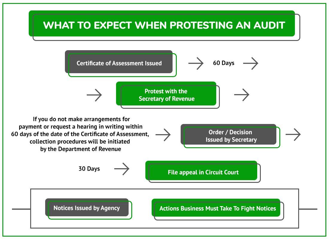 Protest Audit SD